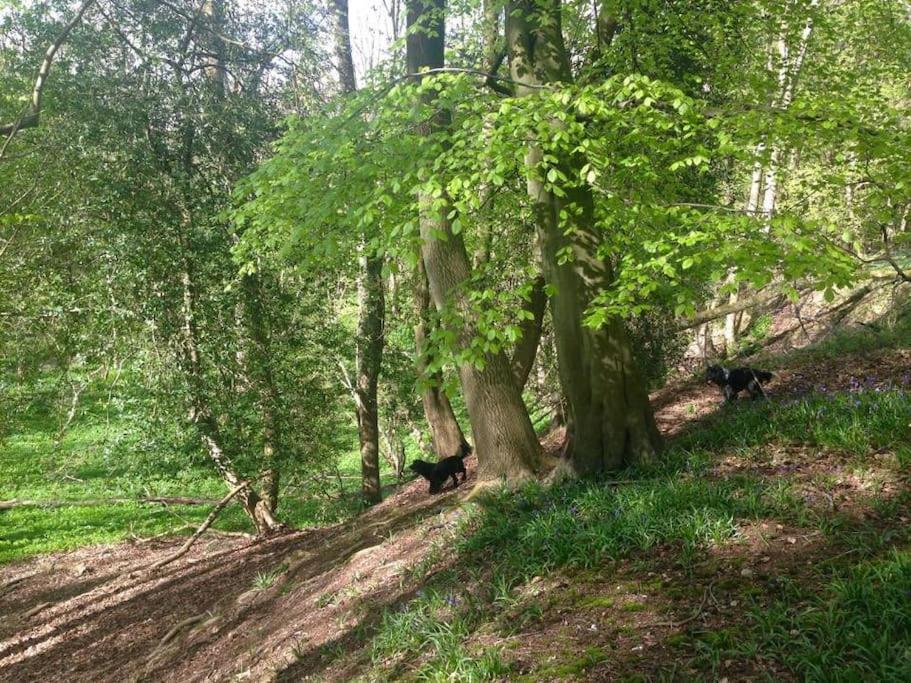 Bumblebee Cottage - Cosy Cottage In Area Of Outstanding Natural Beauty Hemel Hempstead Esterno foto